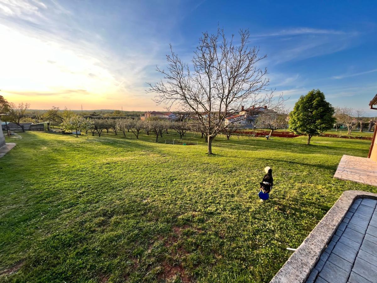 Apartment Danica Valtura Εξωτερικό φωτογραφία