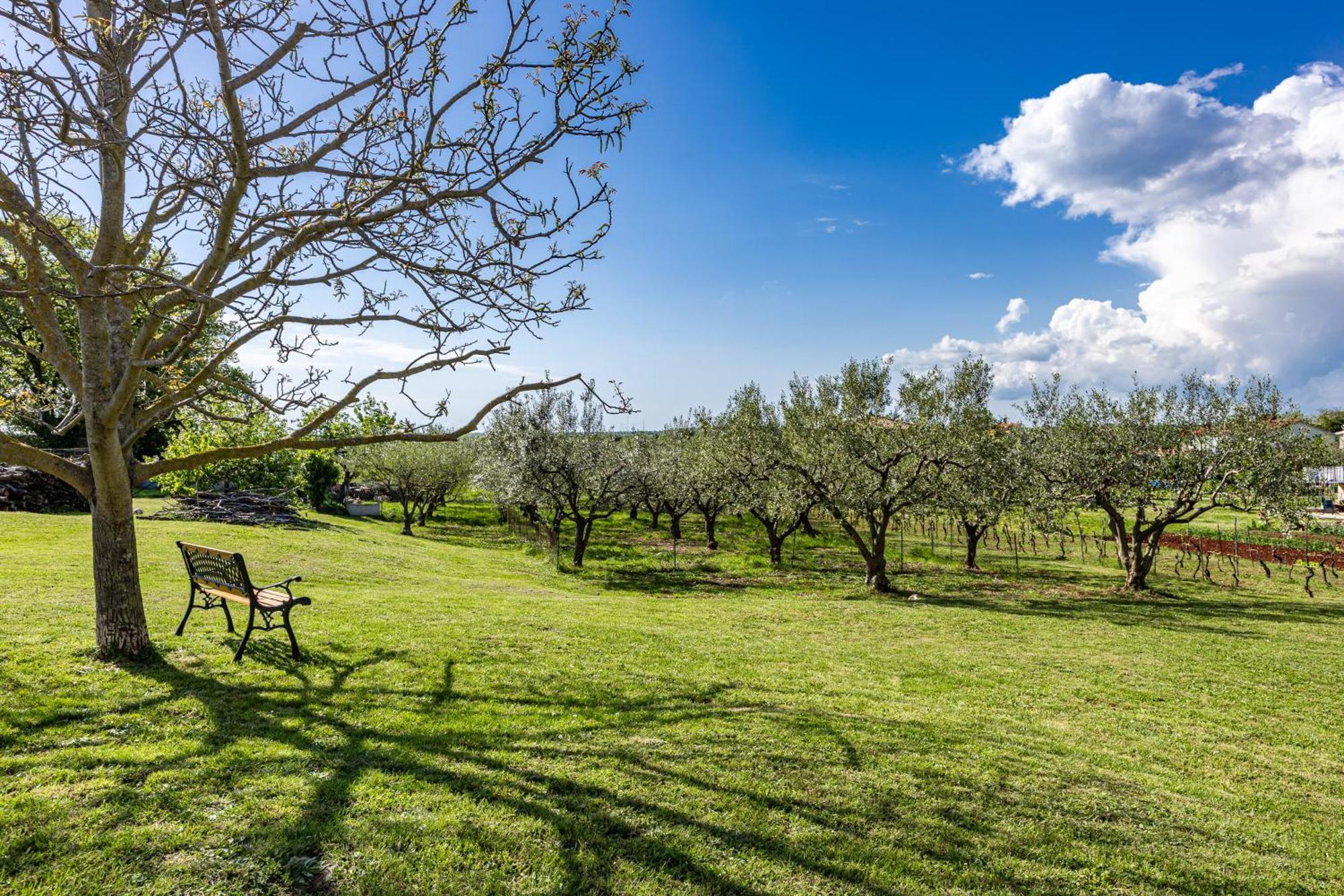 Apartment Danica Valtura Εξωτερικό φωτογραφία